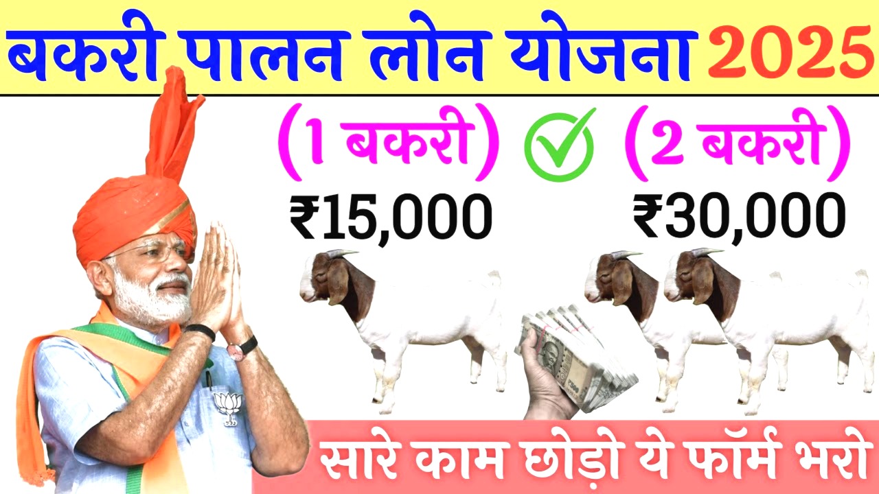 बकरी पालन बिजनेस लोन 2025