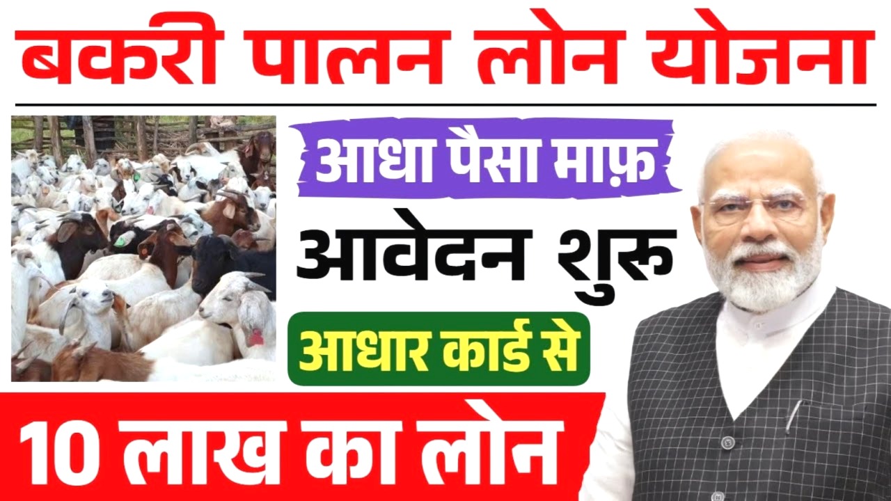 बकरी पालन लोन सब्सिडी राजस्थान