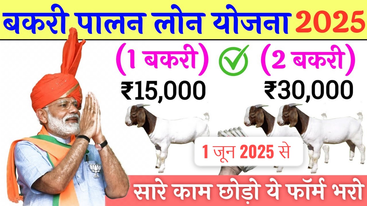 बकरी पालन लोन योजना 2025